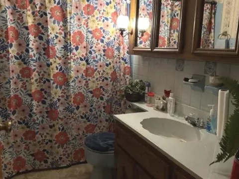 Bath - 2732 Circle Dr, Markham, IL 60428 photo 1 of 3