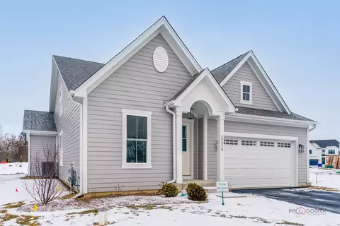 22218 W Casa Bella Vw, Kildeer, IL 60047