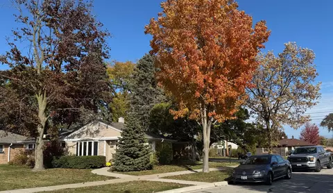 Other - 911 E Villa Dr, Des Plaines, IL 60016 photo 11 of 14