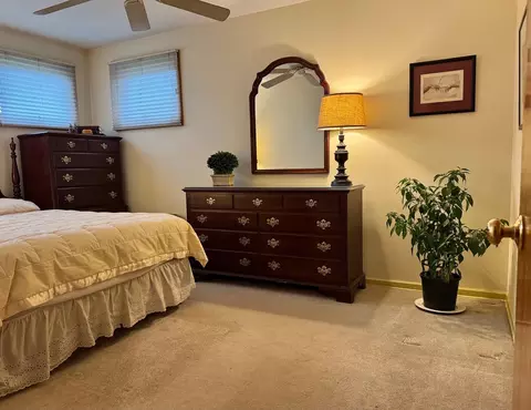 Bedroom - 911 E Villa Dr, Des Plaines, IL 60016 photo 2 of 8