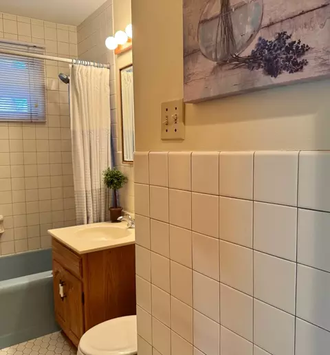 Bath - 911 E Villa Dr, Des Plaines, IL 60016 photo 2 of 2