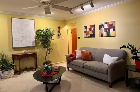 Living - 911 E Villa Dr, Des Plaines, IL 60016 photo 3 of 5
