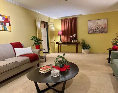 Living - 911 E Villa Dr, Des Plaines, IL 60016 photo 4 of 5