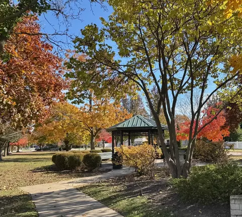 Exterior - 911 E Villa Dr, Des Plaines, IL 60016 photo 16 of 16