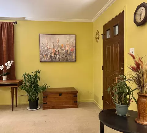 Entry Way - 911 E Villa Dr, Des Plaines, IL 60016 photo 1 of 2