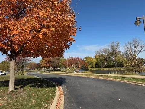 Exterior - 911 E Villa Dr, Des Plaines, IL 60016 photo 13 of 16