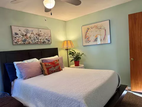 Bedroom - 911 E Villa Dr, Des Plaines, IL 60016 photo 1 of 8