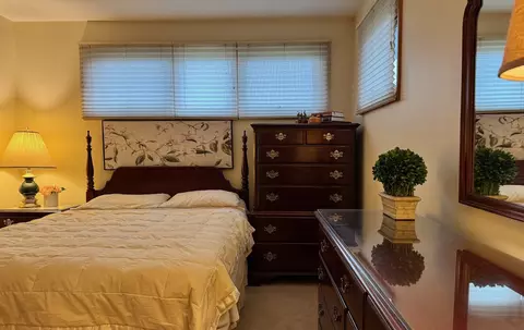Bedroom - 911 E Villa Dr, Des Plaines, IL 60016 photo 6 of 8