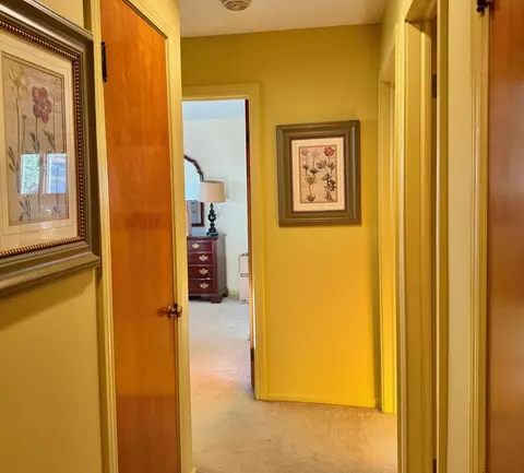Entry Way - 911 E Villa Dr, Des Plaines, IL 60016 photo 2 of 2