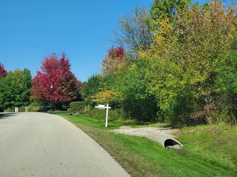 39587 Orchard Bluff Ln, Wadsworth, IL 60083
