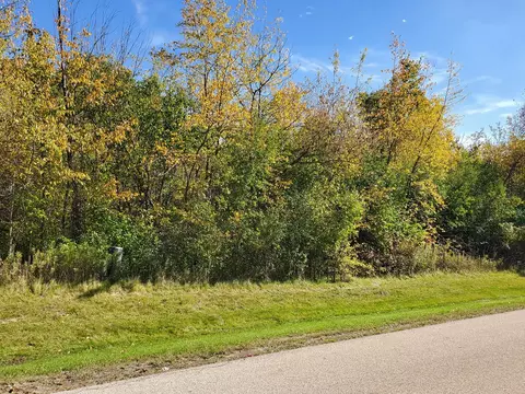39579 Orchard Bluff Ln, Wadsworth, IL 60083