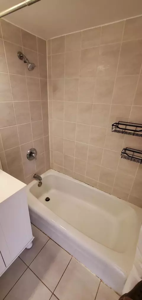 Bath - 8145 Ogden Ave #3N, Lyons, IL 60534 photo 3 of 3