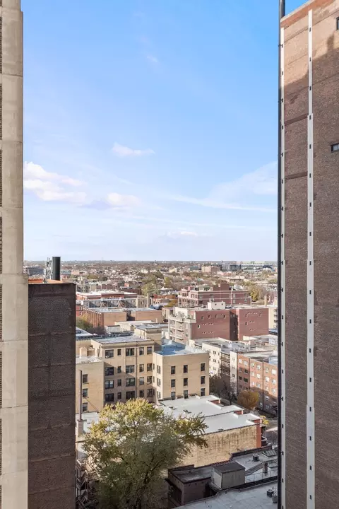 View/Area - Undisclosed, Chicago, IL 60657 photo 3 of 4