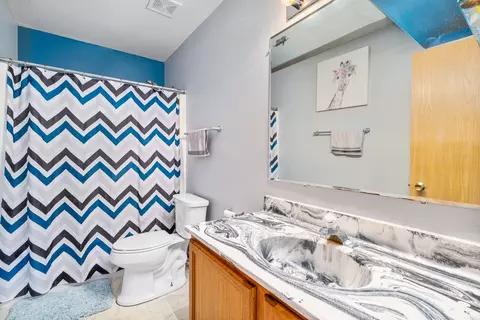 Bath - 5221 W Mulberry Ln, Monee, IL 60449 photo 1 of 2
