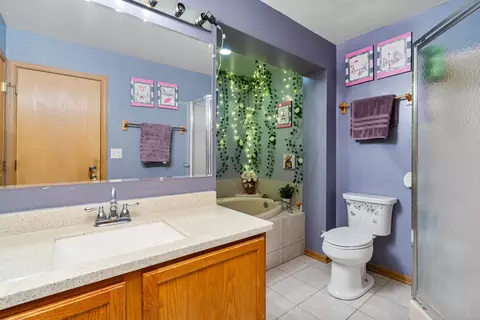 Bath - 5221 W Mulberry Ln, Monee, IL 60449 photo 2 of 2