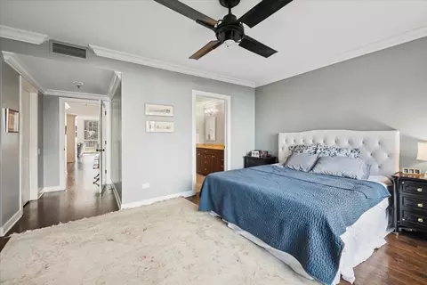 250 E Pearson St #901, Chicago, IL 60611 photo 13