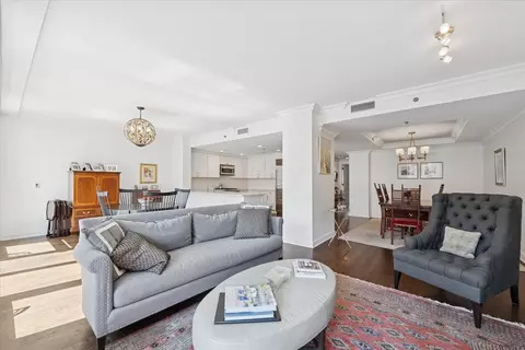 250 E Pearson St #901, Chicago, IL 60611 photo 7