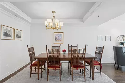 250 E Pearson St #901, Chicago, IL 60611 photo 10