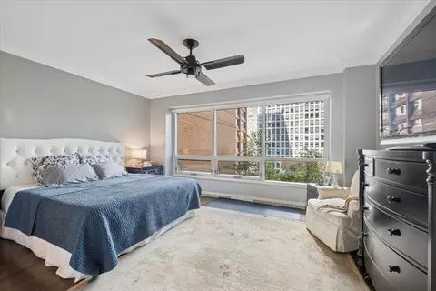 250 E Pearson St #901, Chicago, IL 60611 photo 12