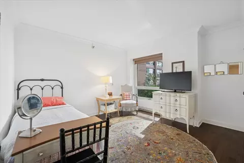 250 E Pearson St #901, Chicago, IL 60611 photo 17