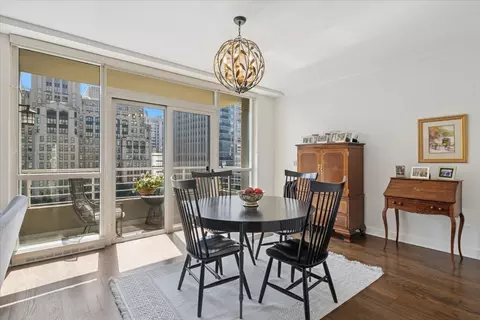 250 E Pearson St #901, Chicago, IL 60611 photo 6