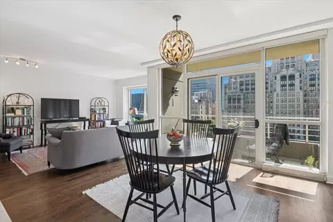 250 E Pearson St #901, Chicago, IL 60611 photo 8