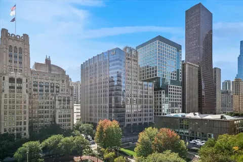 250 E Pearson St #901, Chicago, IL 60611 photo 22
