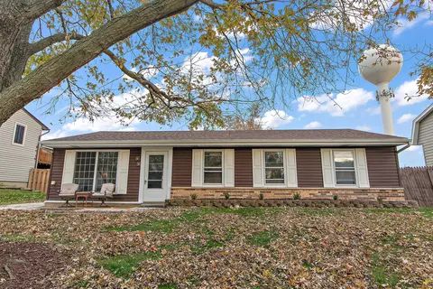 20229 S Greenfield Ln, Frankfort, IL 60423