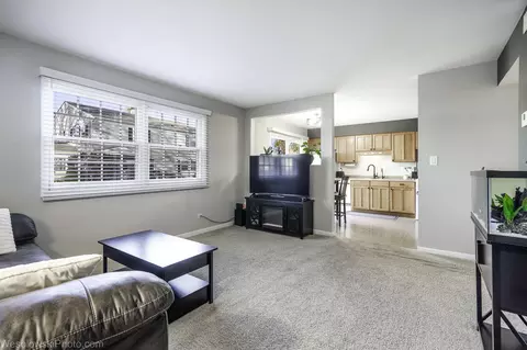 Other - 145 Ann Ct #A, Bartlett, IL 60103 photo 5 of 6