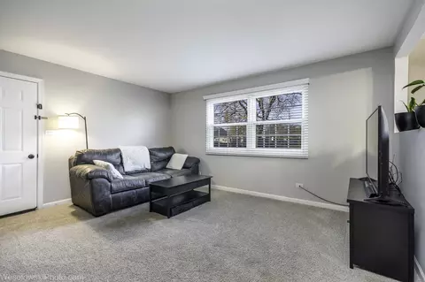 Living - 145 Ann Ct #A, Bartlett, IL 60103 photo 1 of 1