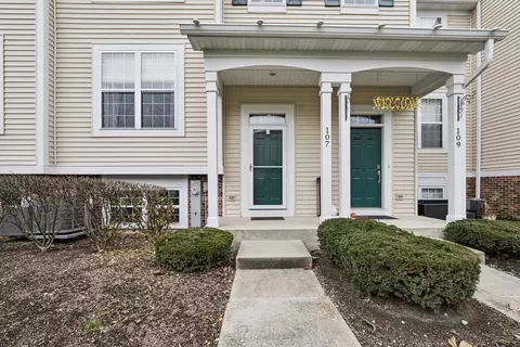 107 Terra Springs Dr, Volo, IL 60020