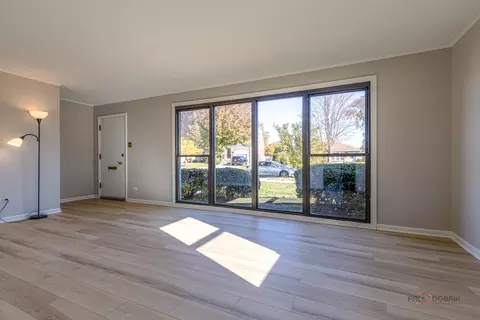 858 E Grant Dr, Des Plaines, IL 60016 photo 4