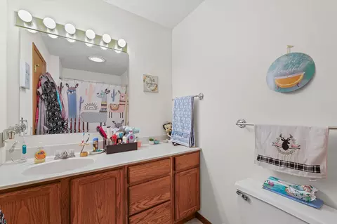 Bath - 707 Country View Dr, Philo, IL 61864 photo 1 of 3