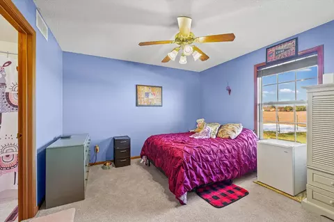 Bedroom - 707 Country View Dr, Philo, IL 61864 photo 1 of 9