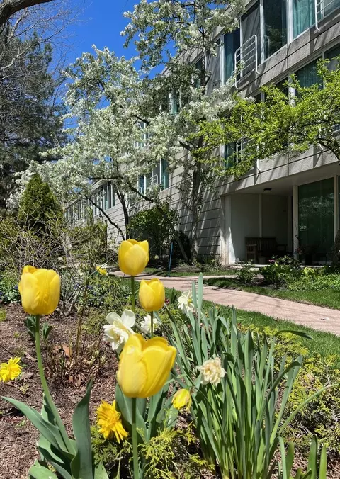 3451 Harrison St, Evanston, IL 60201