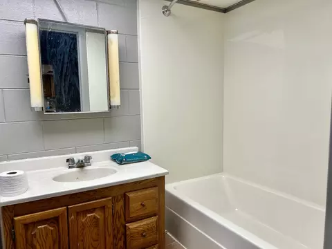 Bath - 915 Morgan St, Normal, IL 61761 photo 5 of 5