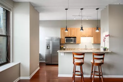 600 S Dearborn St #1604, Chicago, IL 60605 photo 9