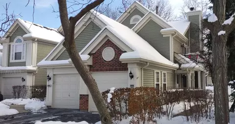 909 Little Falls Ct #909, Elk Grove Village, IL 60007
