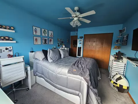 7311 Fordham Ln, Plainfield, IL 60586 photo 10