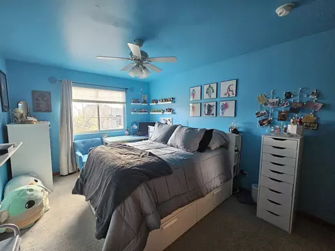 7311 Fordham Ln, Plainfield, IL 60586 photo 11