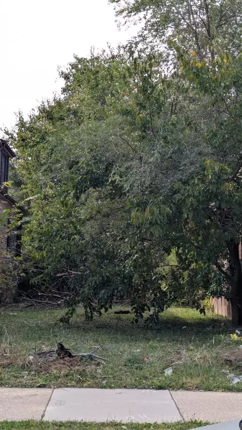 6722 S Oakley Ave, Chicago, IL 60636