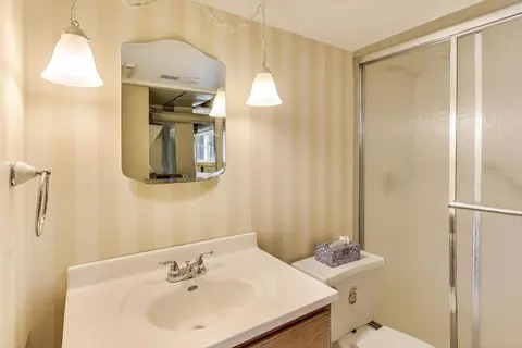 Bath - 910 E Aster Ave, Palatine, IL 60074 photo 3 of 3