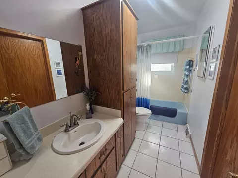 Bath - 23311 W Peterson Dr, Plainfield, IL 60586 photo 1 of 3