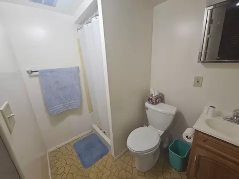 Bath - 23311 W Peterson Dr, Plainfield, IL 60586 photo 3 of 3