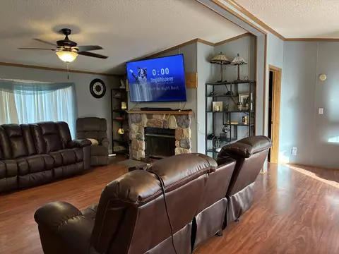 Living - 820 Dewhurst St, Mount Carroll, IL 61053 photo 4 of 4