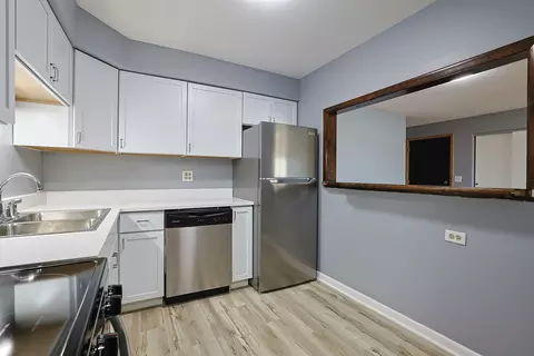 Kitchen - 1111 Pleasant Run Dr #911, Wheeling, IL 60090 photo 4 of 5