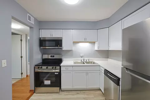 Kitchen - 1111 Pleasant Run Dr #911, Wheeling, IL 60090 photo 1 of 5