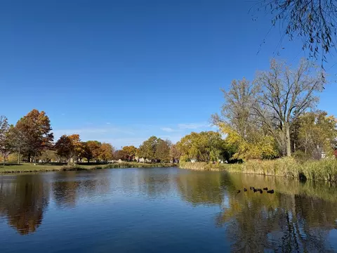 View/Area - 714 E Thacker St, Des Plaines, IL 60016 photo 4 of 5