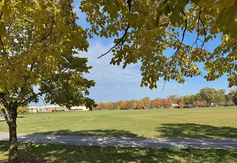 Exterior - 714 E Thacker St, Des Plaines, IL 60016 photo 9 of 13