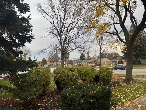 View/Area - 714 E Thacker St, Des Plaines, IL 60016 photo 5 of 5
